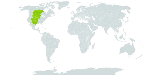 Astragalus missouriensis world distribution map, present in Canada and United States of America