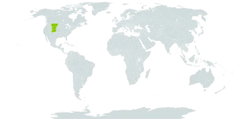 Astragalus molybdenus world distribution map, present in United States of America