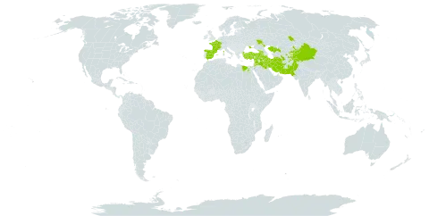 Astragalus oxyglottis world distribution map, present in Afghanistan, Armenia, Azerbaijan, China, Egypt, Spain, France, Georgia, Iran (Islamic Republic of), Iraq, Jordan, Kazakhstan, Kyrgyzstan, Pakistan, Russian Federation, Syrian Arab Republic, Tajikistan, Turkmenistan, Turkey, Ukraine, and Uzbekistan