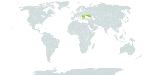 Astragalus ponticus world distribution map, present in Bulgaria, Greece, Moldova (Republic of), North Macedonia, Romania, Russian Federation, Turkey, and Ukraine