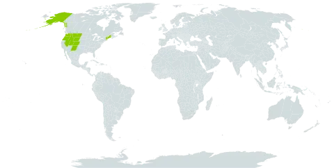 Astragalus robbinsii world distribution map, present in United States of America