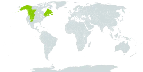 Astragalus robbinsii var. minor world distribution map, present in Canada and United States of America