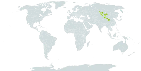 Astragalus rytidocarpus world distribution map, present in China, Mongolia, and Russian Federation