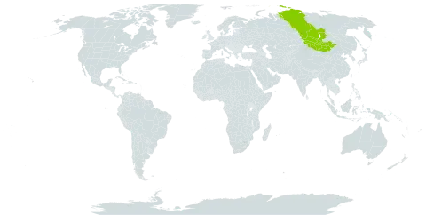 Astragalus saralensis world distribution map, present in Mongolia and Russian Federation