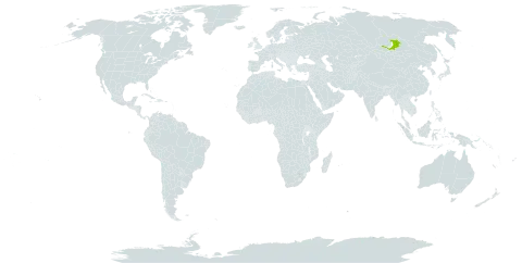 Astragalus sericeocanus world distribution map, present in Russian Federation