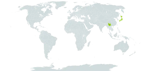 Athyrium kuratae world distribution map, present in China and Japan