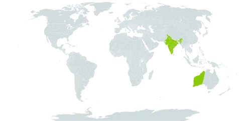 Atriplex vesicaria subsp. appendiculata world distribution map, present in Australia and India