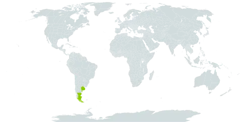 Atriplex vulgatissima world distribution map, present in Argentina and Chile