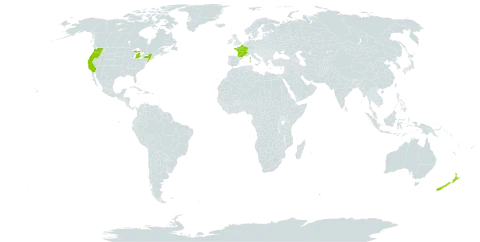 Atropa world distribution map, present in France, New Zealand, and United States of America