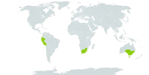 Austrocylindropuntia cylindrica world distribution map, present in Australia, Colombia, Ecuador, Spain, Peru, and South Africa