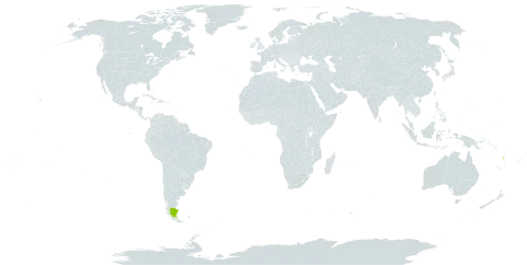 Austrogramme decipiens world distribution map, present in Argentina and Vanuatu