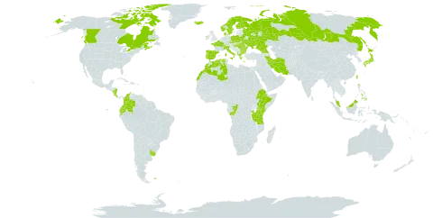 Avenella flexuosa world distribution map, present in Åland Islands, Albania, Burkina Faso, Bulgaria, Belarus, Canada, Switzerland, Congo, Colombia, Costa Rica, Czech Republic, Denmark, Algeria, Ecuador, Spain, Ethiopia, Finland, Falkland Islands (Malvinas), France, Micronesia (Federated States of), Georgia, Greece, Hungary, Ireland, Iran (Islamic Republic of), Iceland, Italy, Japan, Kenya, Morocco, Malaysia, Nicaragua, Norway, Nepal, Philippines, Poland, Portugal, Romania, Russian Federation, Rwanda, Sweden, Turks and Caicos Islands, Taiwan, Province of China, Tanzania, United Republic of, Uganda, Ukraine, and Uruguay