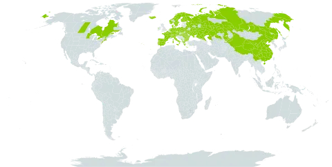 Avenula pubescens world distribution map, present in Albania, Austria, Bulgaria, Belarus, Canada, Switzerland, China, Czech Republic, Germany, Denmark, Spain, Finland, France, Greece, Hungary, Ireland, Iceland, Italy, Kazakhstan, Kyrgyzstan, Montenegro, Netherlands, Norway, Poland, Portugal, Romania, Russian Federation, Sweden, Turks and Caicos Islands, Ukraine, and United States of America