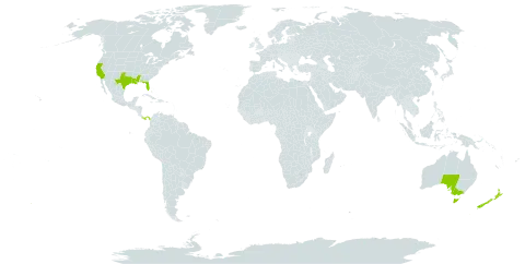 Avicennia world distribution map, present in Australia, New Zealand, Panama, and United States of America