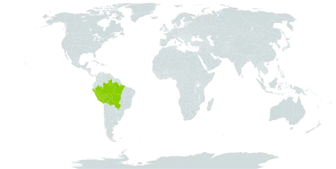 Ayenia benensis world distribution map, present in Bolivia (Plurinational State of), Brazil, and Peru