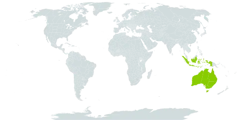 Azadirachta world distribution map, present in Australia and Indonesia