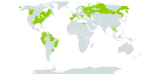 Azolla caroliniana world distribution map, present in Belgium, Bulgaria, Brazil, Canada, Colombia, Cuba, Germany, Ecuador, Egypt, Spain, France, French Guiana, Guyana, Hungary, Italy, Jamaica, Netherlands, Peru, Puerto Rico, Portugal, Romania, Russian Federation, Suriname, Thailand, United States of America, Venezuela (Bolivarian Republic of), and Viet Nam