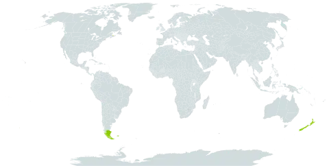 Azorella selago world distribution map, present in Argentina, French Southern Territories, Canada, Chile, Falkland Islands (Malvinas), and New Zealand