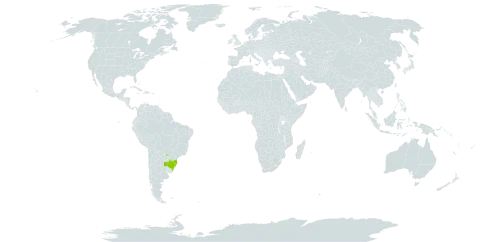 Baccharis pseudotenuifolia world distribution map, present in Argentina, Brazil, and Paraguay