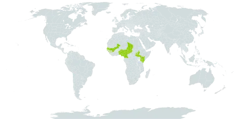 Baccharoides pumila world distribution map, present in Benin, Burkina Faso, Cameroon, Guinea, Kenya, Mali, Nigeria, Senegal, South Sudan, Chad, and Uganda