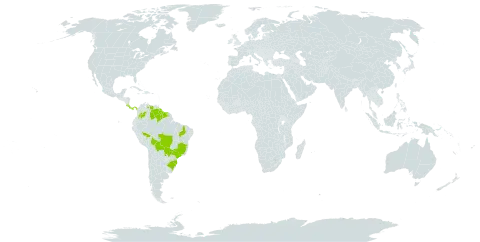 Bacopa laxiflora world distribution map, present in Bolivia (Plurinational State of), Brazil, Colombia, Costa Rica, Guyana, Panama, Paraguay, Suriname, and Venezuela (Bolivarian Republic of)