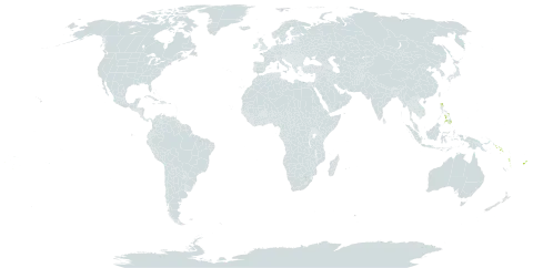 Badusa world distribution map, present in Fiji, Philippines, Solomon Islands, Tonga, and Vanuatu