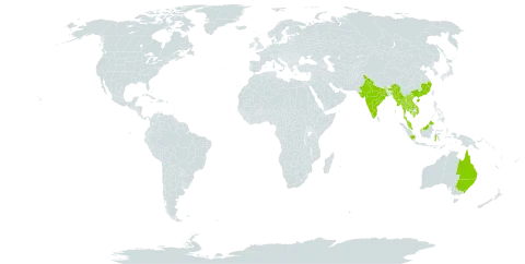 Baeckea frutescens world distribution map, present in Australia, China, Indonesia, India, Cambodia, Lao People's Democratic Republic, Myanmar, Malaysia, Thailand, and Viet Nam