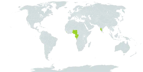 Baikiaea insignis world distribution map, present in Angola, Cameroon, Congo, Gabon, Equatorial Guinea, India, Sri Lanka, and Nigeria