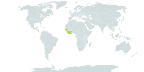 Baissea zygodioides world distribution map, present in Côte d'Ivoire, Ghana, Guinea, Liberia, Senegal, and Sierra Leone