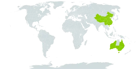 Balsaminaceae world distribution map, present in Australia and China