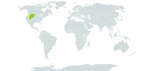 Balsamorhiza macrophylla world distribution map, present in United States of America