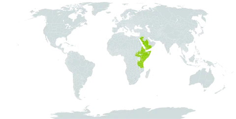 Barleria argentea world distribution map, present in Eritrea, Ethiopia, Kenya, Saudi Arabia, Somalia, South Sudan, Tanzania, United Republic of, Uganda, and Yemen