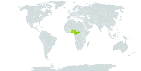 Barleria bornuensis world distribution map, present in Benin, Central African Republic, Cameroon, and Nigeria