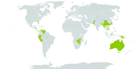 Barleria cristata world distribution map, present in Australia, Bangladesh, Bahamas, Barbados, Bhutan, China, Colombia, Dominican Republic, Fiji, Guam, Honduras, Haiti, India, Jamaica, Cambodia, Sri Lanka, Marshall Islands, Myanmar, Northern Mariana Islands, Montserrat, Mauritius, Niue, Nepal, Pakistan, Panama, Peru, Philippines, Palau, Papua New Guinea, Puerto Rico, Réunion, Trinidad and Tobago, Taiwan, Province of China, Tanzania, United Republic of, United States of America, Venezuela (Bolivarian Republic of), Viet Nam, Zambia, and Zimbabwe