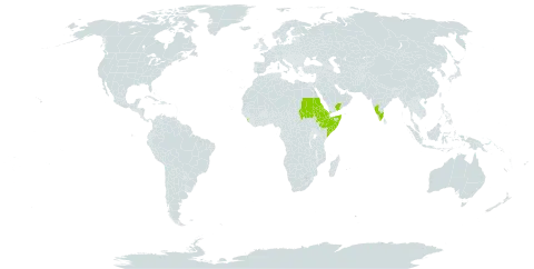 Barleria lanceata world distribution map, present in Djibouti, Eritrea, Ethiopia, India, Sri Lanka, Sudan, Somalia, and Yemen