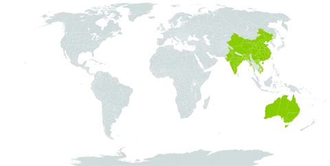 Barleria strigosa world distribution map, present in Australia, Bangladesh, Bhutan, China, India, Jamaica, Cambodia, Lao People's Democratic Republic, Sri Lanka, Myanmar, Martinique, Nepal, and Viet Nam