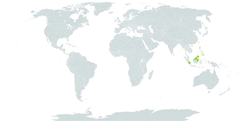 Barringtonia reticulata world distribution map, present in Andorra, Brunei Darussalam, Indonesia, Malaysia, and Philippines