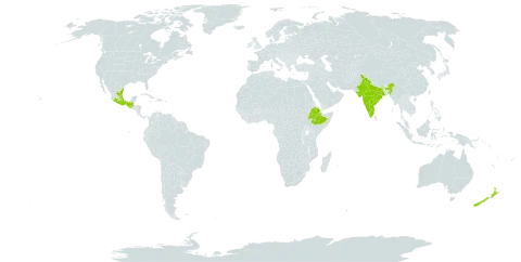 Bartlettina sordida world distribution map, present in Ethiopia, Guatemala, India, Mexico, and New Zealand