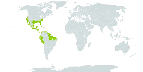 Batis maritima world distribution map, present in Anguilla, Antigua and Barbuda, Bonaire, Sint Eustatius and Saba, Bahamas, Belize, Brazil, Colombia, Cuba, Cayman Islands, Ecuador, Guadeloupe, Grenada, French Guiana, Guyana, Honduras, Jamaica, Mexico, Martinique, Nicaragua, Panama, Peru, Puerto Rico, Suriname, Turks and Caicos Islands, Trinidad and Tobago, United States of America, and Venezuela (Bolivarian Republic of)