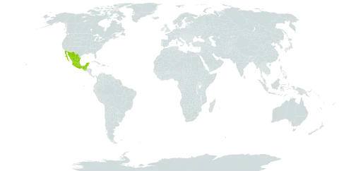 Bauhinia erythrocalyx world distribution map, present in Guatemala and Mexico