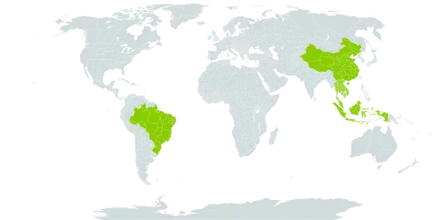 Bauhinia hirsutiflora world distribution map, present in Brazil, China, Indonesia, Cambodia, Lao People's Democratic Republic, Malaysia, Thailand, and Viet Nam