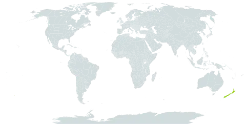 Bazzania engelii world distribution map, present in New Zealand