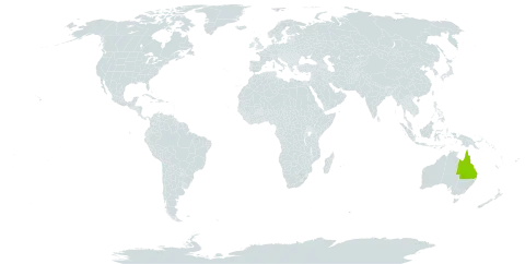 Bazzania gamscottii world distribution map, present in Australia