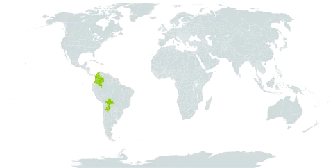 Begonia boliviensis world distribution map, present in Argentina, Bolivia (Plurinational State of), and Colombia