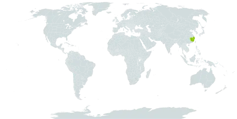 Begonia digyna world distribution map, present in China