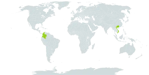 Begonia masoniana world distribution map, present in China, Colombia, and Viet Nam