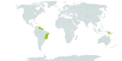 Begonia ulmifolia world distribution map, present in Brazil, French Guiana, Guyana, Mauritius, Papua New Guinea, Réunion, Suriname, Seychelles, Trinidad and Tobago, and Venezuela (Bolivarian Republic of)