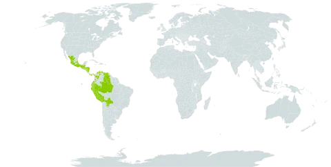 Bejaria aestuans world distribution map, present in Belize, Bolivia (Plurinational State of), Brazil, Colombia, Ecuador, Guatemala, Honduras, Mexico, Nicaragua, Panama, Peru, El Salvador, and Venezuela (Bolivarian Republic of)