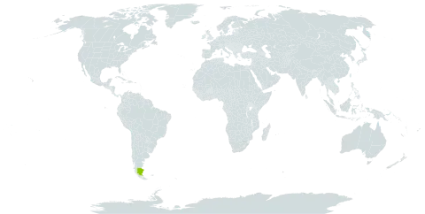 Benthamiella skottsbergii world distribution map, present in Argentina