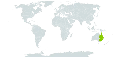 Berberidopsis world distribution map, present in Australia